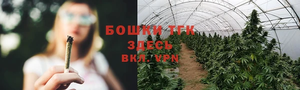 стаф Бронницы