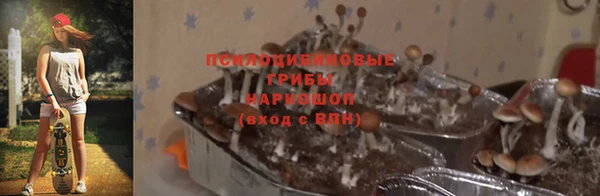 гашик Верхнеуральск