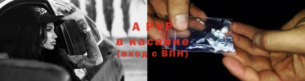 стаф Бронницы