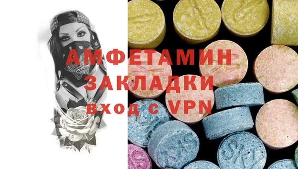 PSILOCYBIN Бородино