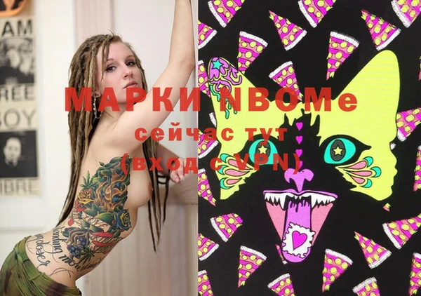 PSILOCYBIN Бородино